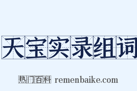 天宝实录组词是什么意思的图片